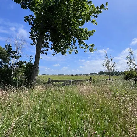 Casa de Férias Het Zomerhuis