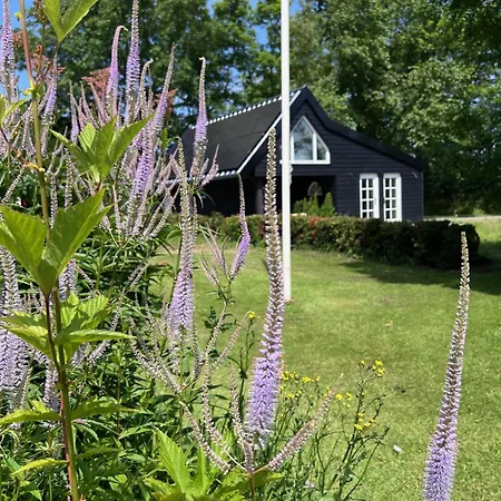 Het Zomerhuis Lodge Bakkum