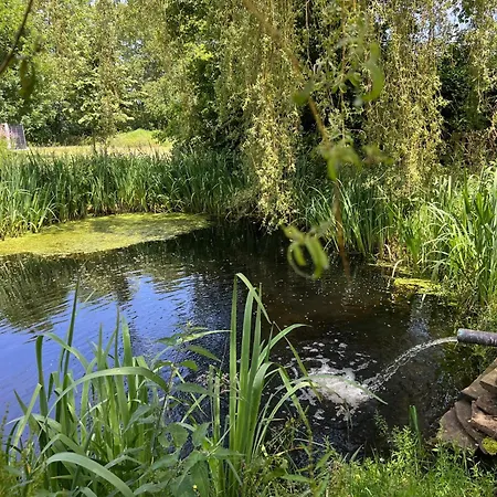 Dom wakacyjny Het Zomerhuis Zuidbakkum