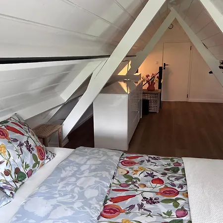 Het Zomerhuis Ferienhaus Zuidbakkum