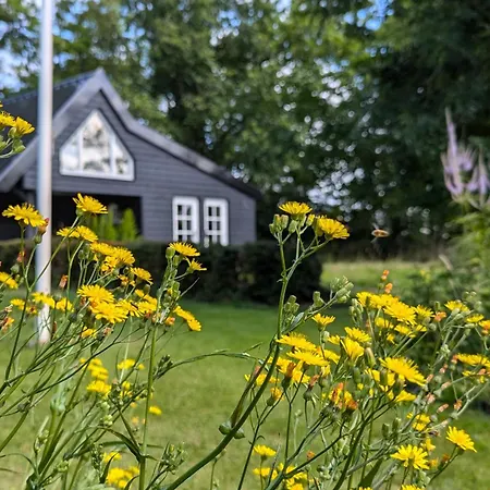 Het Zomerhuis