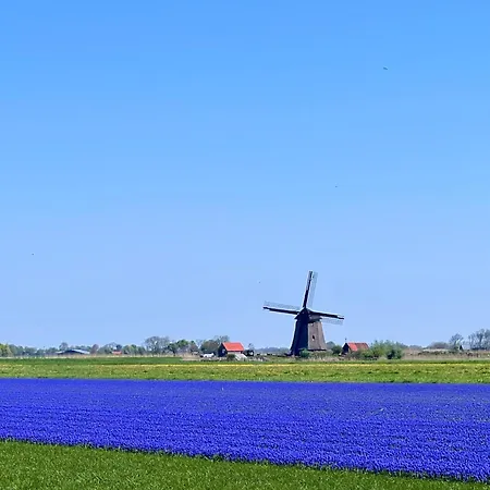 Holiday home Het Zomerhuis *
