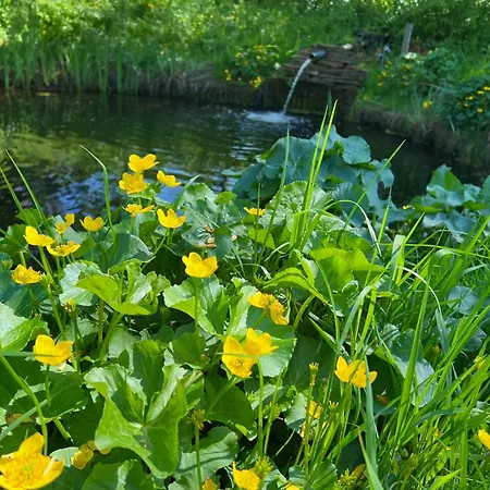 Lodge Het Zomerhuis Bakkum