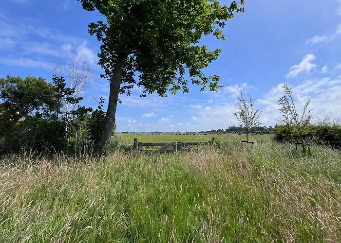 Semesterbostad Het Zomerhuis