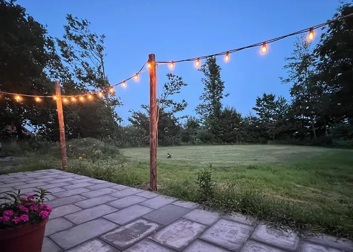 Semesterbostad Het Zomerhuis Zuidbakkum