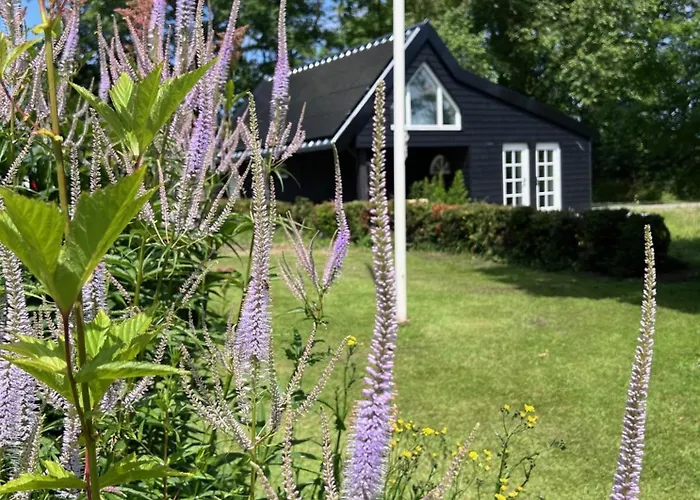 Het Zomerhuis Semesterbostad Zuidbakkum