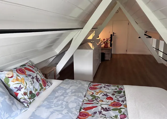 Het Zomerhuis Semesterbostad Zuidbakkum