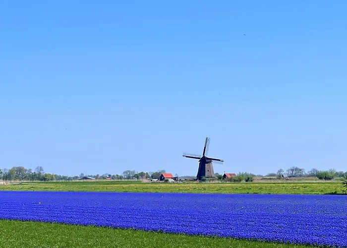 Semesterbostad Het Zomerhuis *