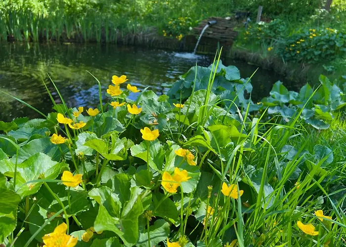 Semesterbostad Het Zomerhuis Zuidbakkum
