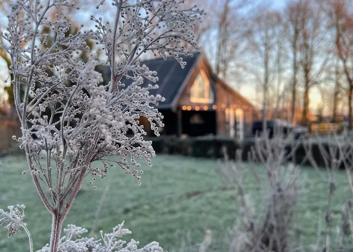 Het Zomerhuis Semesterbostad